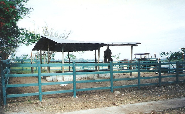 corrales ganado 71 engorde acorralados ganados vacuno corral Instalaciones feria bovina engorde jaulas y corralejas agricultura ganadería Cría ganado vacuno Produccion carne vacunos bovino equino porcino corrales ganado 71 engorde acorralados ganados vacuno corral Instalaciones feria bovina engorde jaulas y corralejas agricultura ganadería corrales ganado 71 engorde acorralados ganados vacuno corral Instalaciones feria bovina engorde jaulas y corralejas agricultura ganadería Cría ganado vacuno Produccion carne vacunos bovino equino porcino cría ganado vacuno Produccion carne vacunos bovino equino porcino